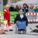 Oesterreichischer Nationalfeiertag 2016 - Wien - 26_10_2016-191.JPG