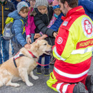 Oesterreichischer Nationalfeiertag 2016 - Wien - 26_10_2016-194.JPG
