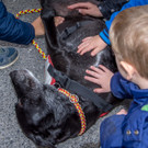 Oesterreichischer Nationalfeiertag 2016 - Wien - 26_10_2016-195.JPG