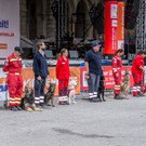 Oesterreichischer Nationalfeiertag 2016 - Wien - 26_10_2016-196.JPG
