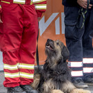 Oesterreichischer Nationalfeiertag 2016 - Wien - 26_10_2016-197.JPG
