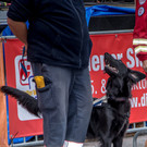 Oesterreichischer Nationalfeiertag 2016 - Wien - 26_10_2016-199.JPG