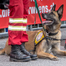 Oesterreichischer Nationalfeiertag 2016 - Wien - 26_10_2016-200.JPG