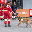 Oesterreichischer Nationalfeiertag 2016 - Wien - 26_10_2016-203.JPG
