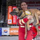 Oesterreichischer Nationalfeiertag 2016 - Wien - 26_10_2016-212.JPG