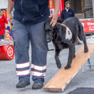 Oesterreichischer Nationalfeiertag 2016 - Wien - 26_10_2016-219.JPG