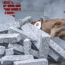 Oesterreichischer Nationalfeiertag 2016 - Wien - 26_10_2016-224.JPG