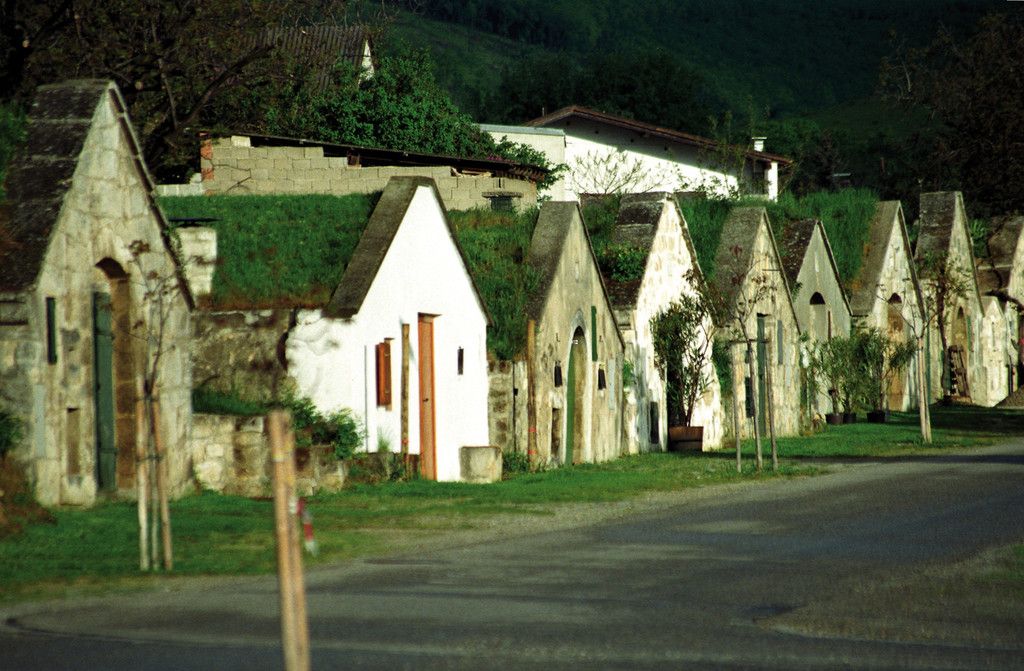 neun-plaetze_19.jpg