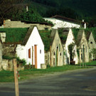 neun-plaetze_19.jpg