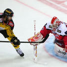 EXPA-THA-161026-0623.jpg