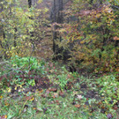 IMG_1568.JPG