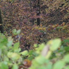 IMG_1574.JPG