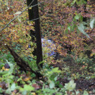 IMG_1612.JPG