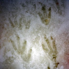 AFP_9T5A5.jpg
