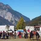 Vereinsmeisterschaft Reitclub Montafon 2016