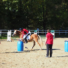 P1010207.jpg