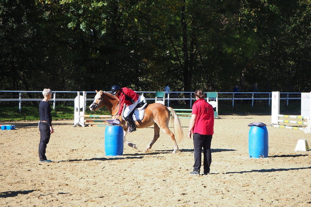 P1010207.jpg