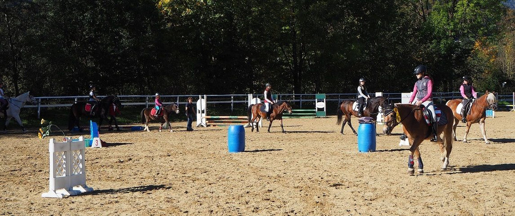 P1010265.jpg