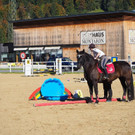 P1010295.jpg