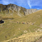IMG_6003.jpg