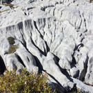 IMG_6047.jpg