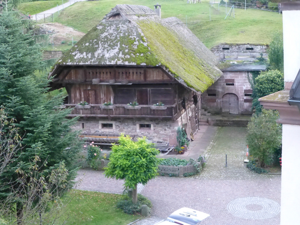 P1090092.JPG
