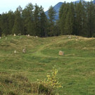 IMG_6290.jpg
