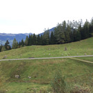 IMG_6300.jpg