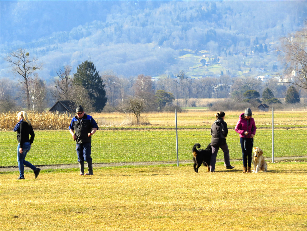 BK_Hundeerziehungskurs Nofels 2.JPG