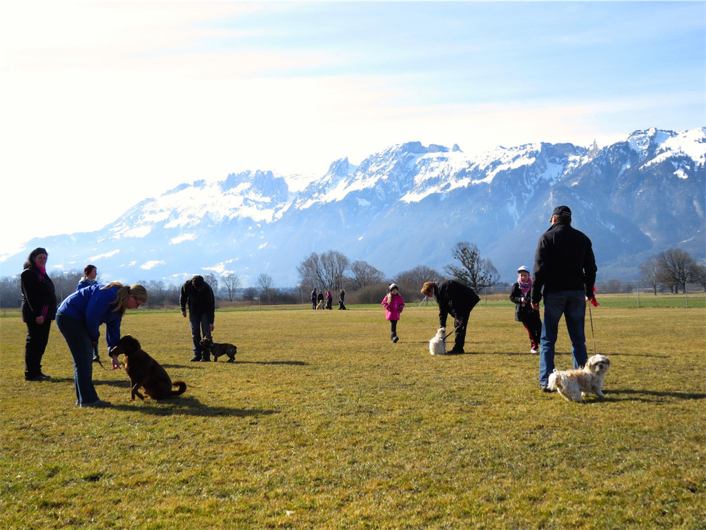 BK_Hundeerziehungskurs Nofels 14.JPG