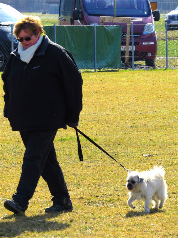 BK_Hundeerziehungskurs Nofels 17.jpg