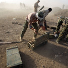 AFP_HM828.jpg