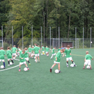 P8110057.JPG