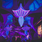 20088.jpg
