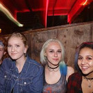 IMG_9365 _Copy__JPG-1478061746.jpg