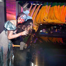 13_jpg-1478074339.jpg