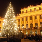 Christbaum-und-Schloss-seitlich-nachts-FotoGerhardFally.jpg