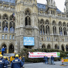 130 Jahre alte Fichte für den Wiener Rathausplatz: Christbaum für Christkindlmarkt aufgestellt
