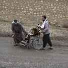 Mideast_Iraq_Mosul_12.jpg