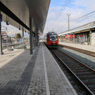 IMG_9898.JPG