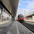 IMG_9900.JPG