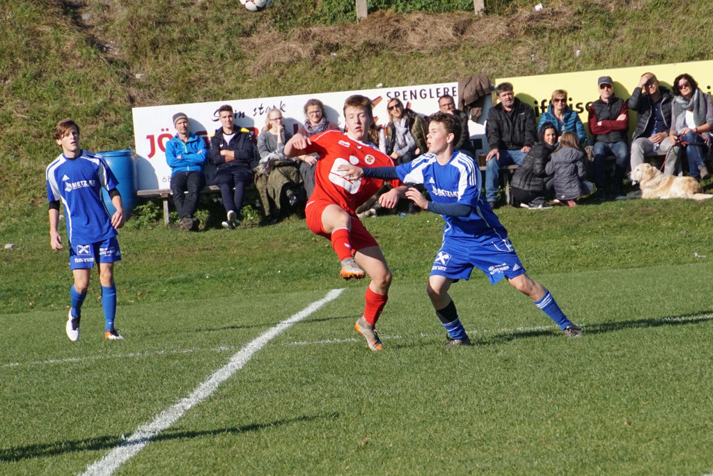 DSC08765_3701_jpg b.jpg