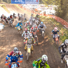 IMG_1390_jpg-1277735898
