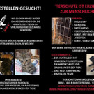 Wir suchen DICH!