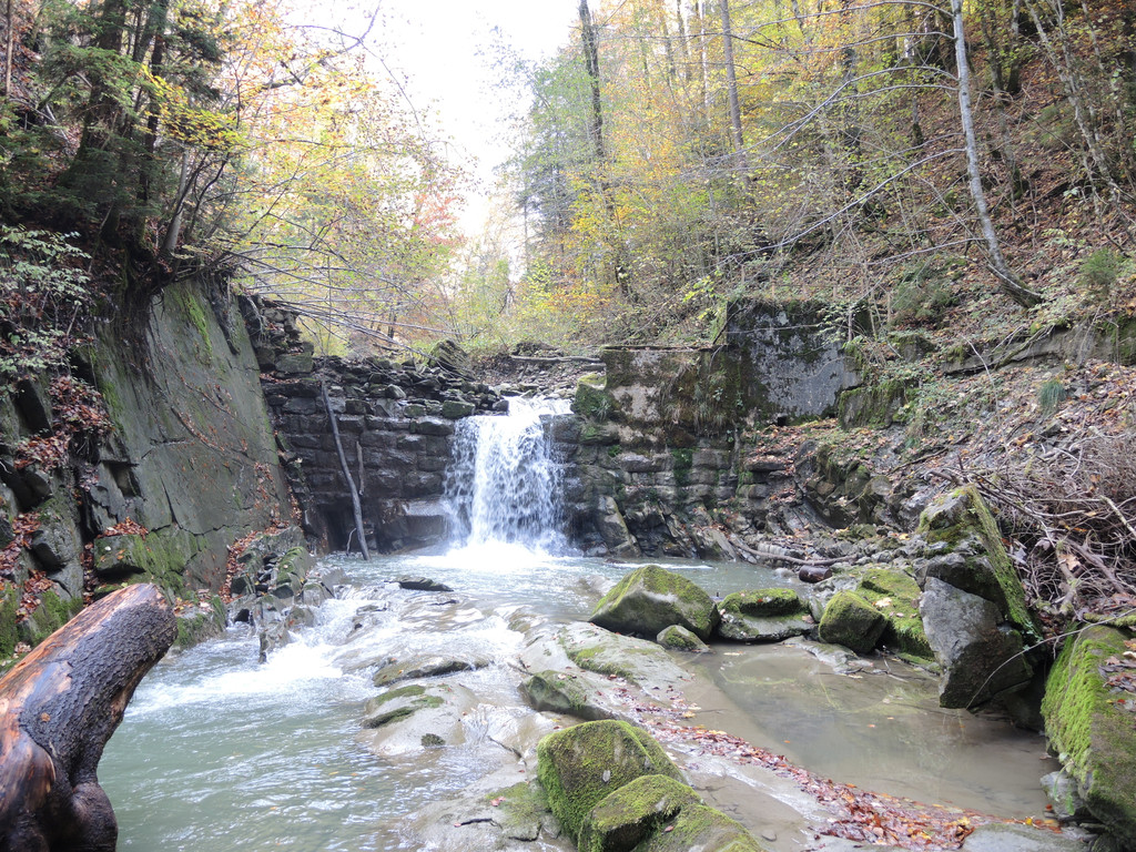 DSCN1020.JPG