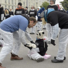 file6s7sd7w35w6jmgkpega.jpg