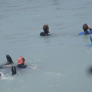 IMG_2883_JPG-1277742990