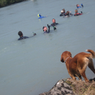 IMG_2891_JPG-1277743015