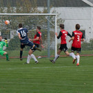 HMO_0356.jpg