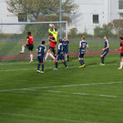 HMO_0231_.jpg